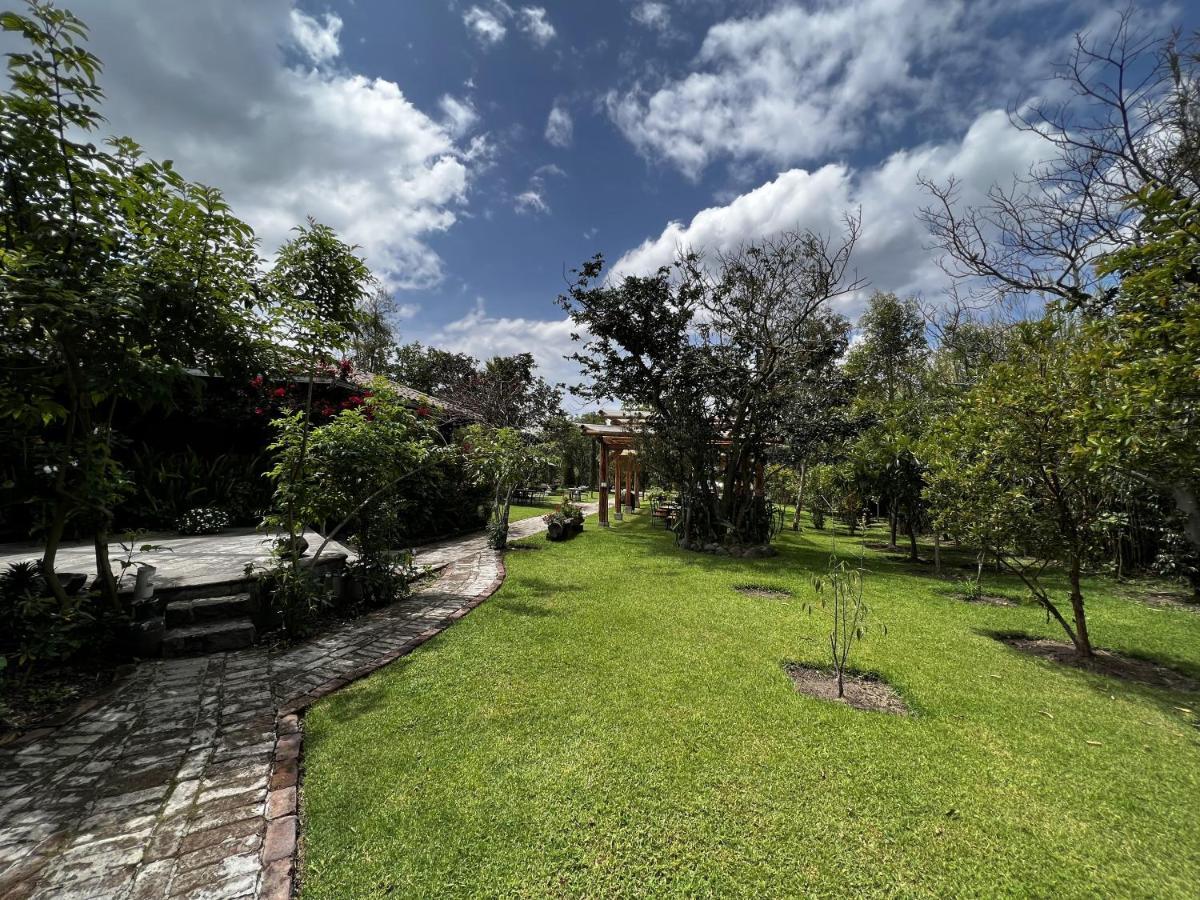 Hacienda Jimenita Wildlife Reserve Puembo Bagian luar foto